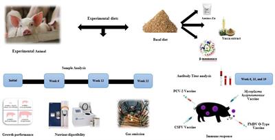 Enhancement of protective vaccine-induced antibody titer to swine diseases and growth performance by Amino-Zn, yucca extract, and β-mannanase feed additive in wean-finishing pigs
